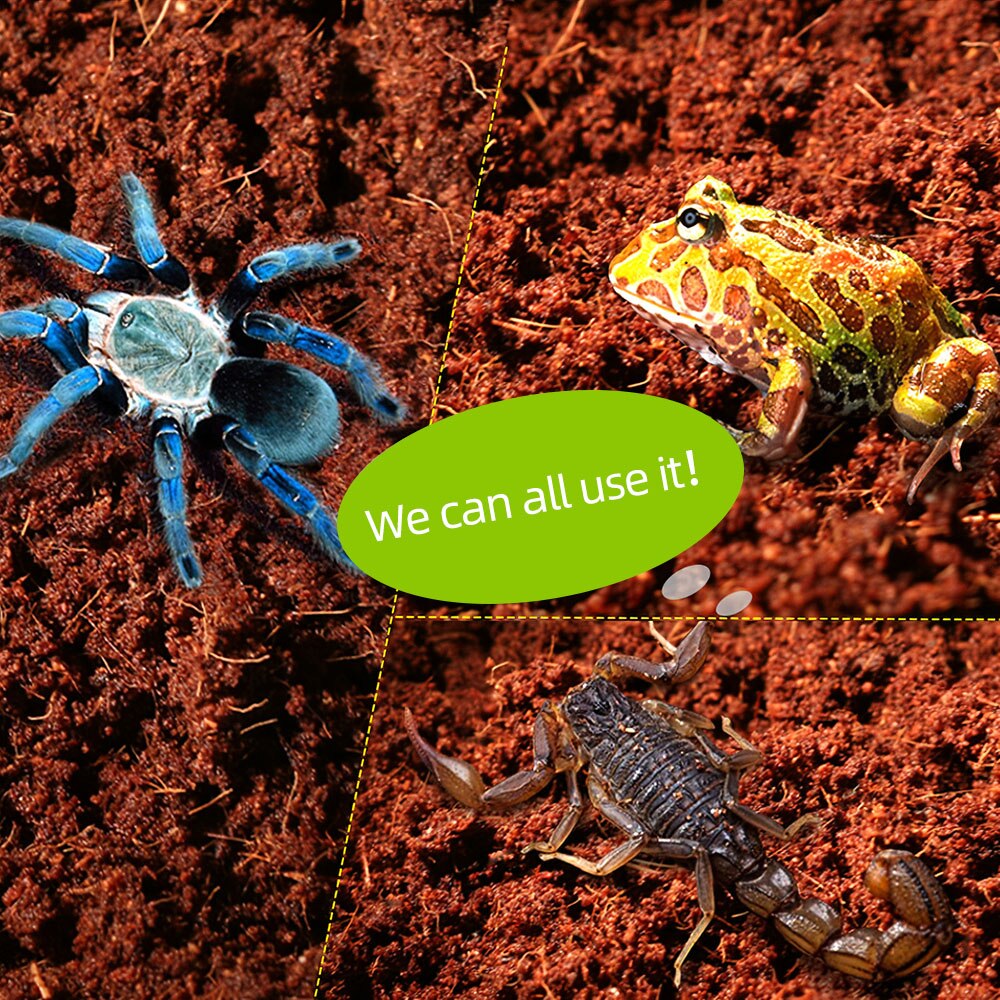 Compressed Coconut Fiber Terrarium Substrate for Tortoise Lizard Spider Scorpion Snake Reptiles Pets