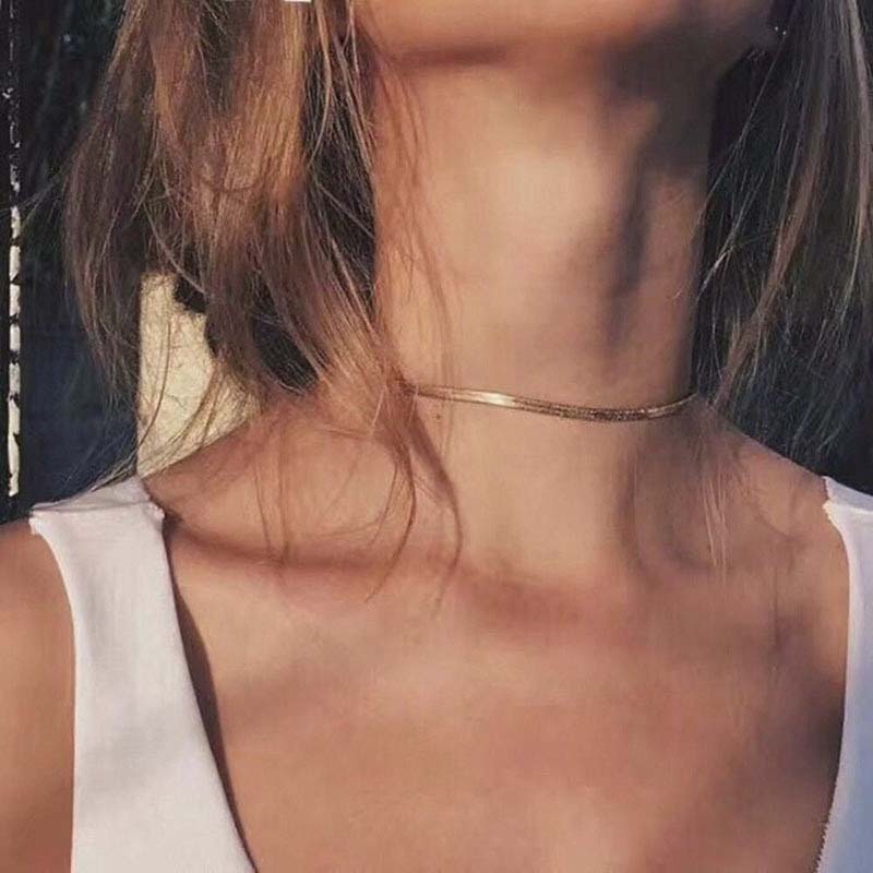 Flat Snake Bone Chain Necklaces for Women Gold Silver Color Trendy Personality Clavicle Necklace Simple Punk Choker Jewelry