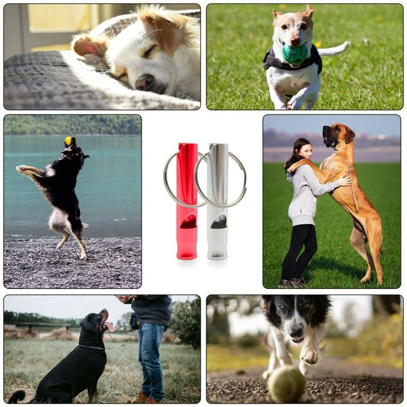Animal Supplies Dog Training Whistle For Trainers Outdoor Aluminum Alloy Call Pet Tool And Interactive Pruduct