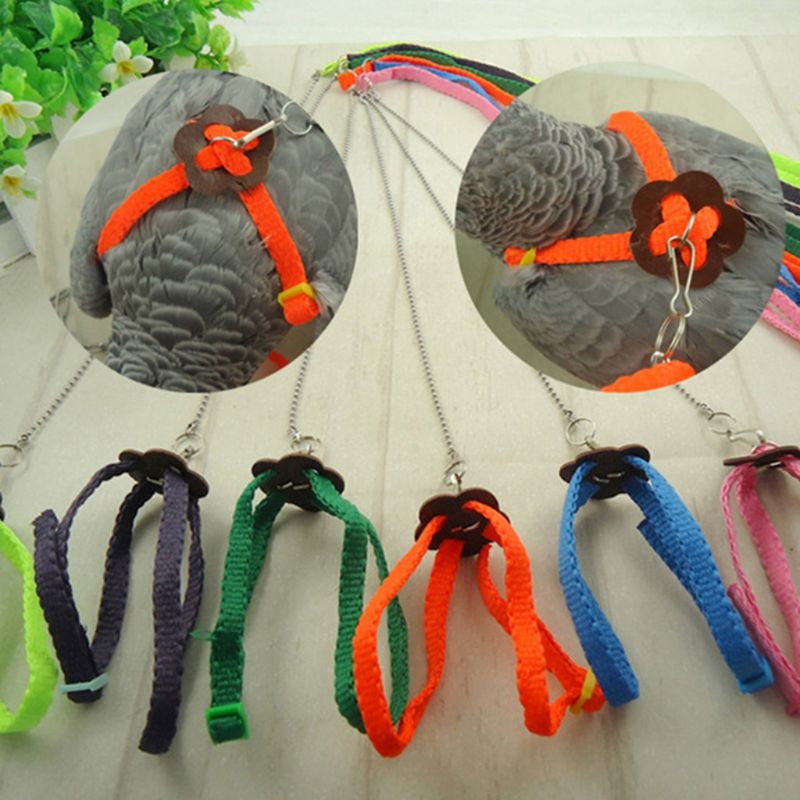 Laisse de harnais d'oiseau de perroquet pour animaux de compagnie corde d'entraînement réglable extérieure sangle de Traction Anti-vol bande souple Portable directe