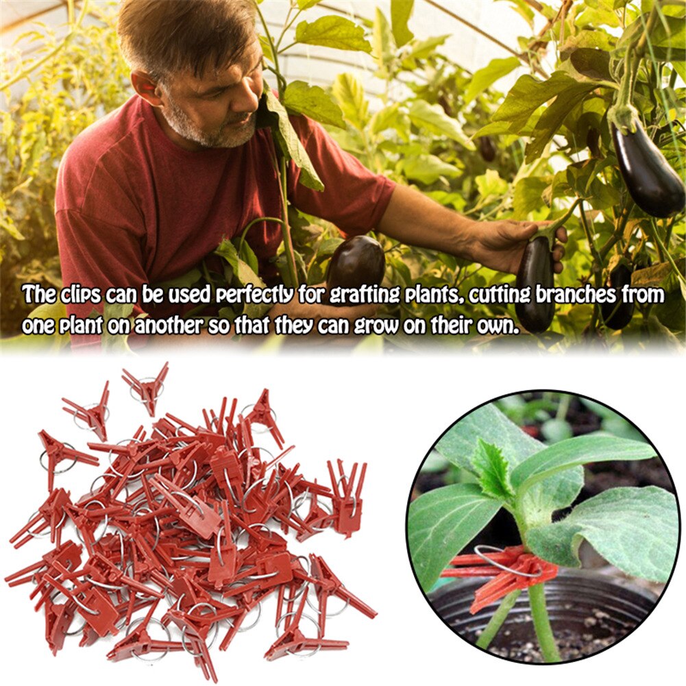 50pc Plastic Plant Support Clips Clamps For Plants Hanging Vine Garden Greenhouse Vegetables Tomatoes Clips Garden Graft Clip