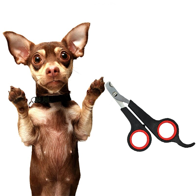Coupe-ongles en acier inoxydable | Chiens de compagnie, chat, coupe-ongles, ciseaux de toilettage pour animaux chats griffe d'orteaux, outils fournitures pour animaux