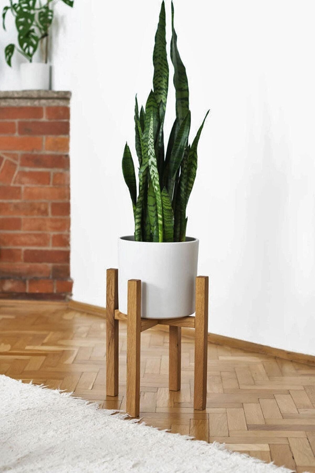 Solid Wood Flower Pot Six Jardiniere economic decorative