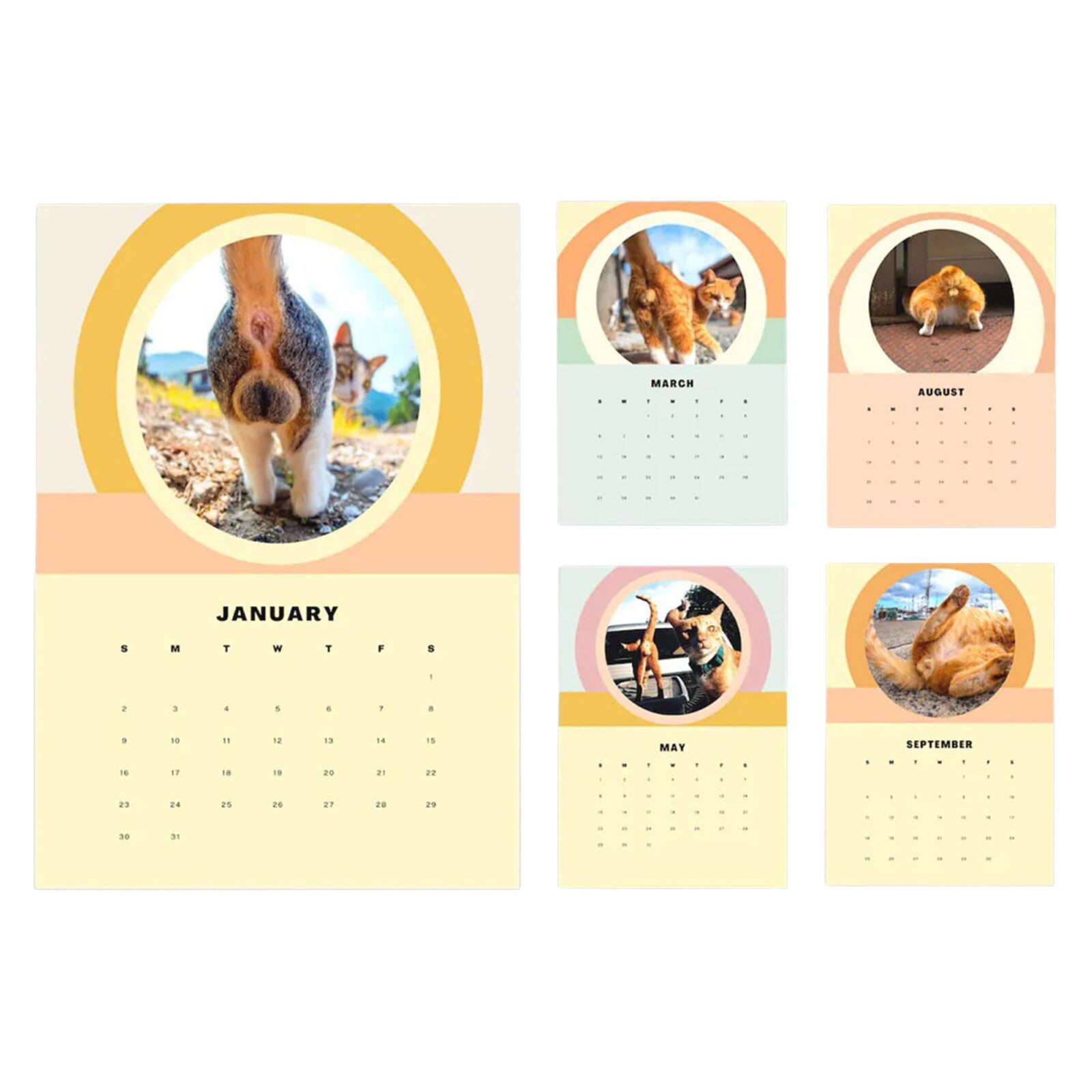 2022 Katten Patroon Kalender Rechthoek Muur Kalender Voor Thuis En Kantoor Maandelijkse 21*30Cm