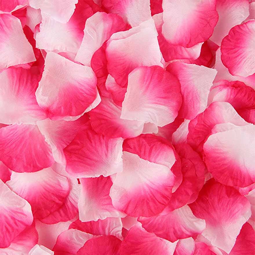 MOLANS 500pcs 5*5cm Silk Imitation Rose Petals for Wedding Decoration Muti-color Fabric Flower for Proposal Arrangement Ornament: 20