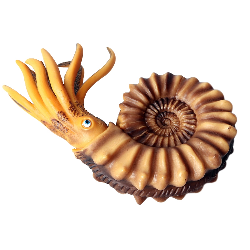 FBIL-Simulatie Mariene Leven Model Schelp Nautilus Shell Pop Decoratie
