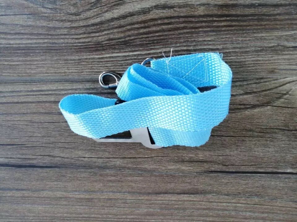 10Pcs Pet Seat Belt 11 Kleuren Epet GS001 Zo Laag Als 0.36Usd Per Stuk: 10pcs light blue