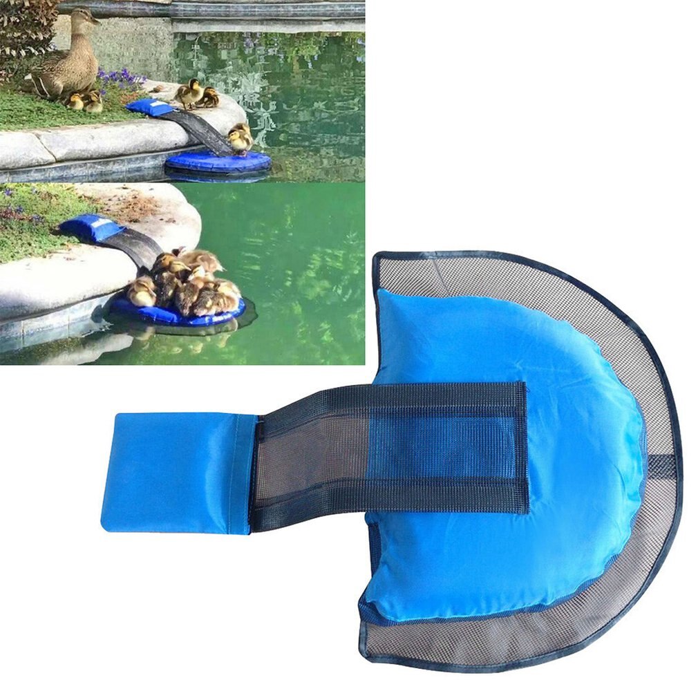 Ucieczka netto pływający krok dla żab zwierzęta zwierzę ucieczka netto Swimline basen zwierzak ucieczka nachylenie basen akcesoria