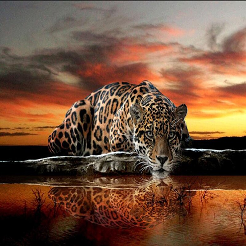 Volledige 5D Diy Daimond Schilderen kruissteek Cheetah 3D Diamant Mozaïek Ronde Steentjes Schilderij Borduurwerk Luipaarden Decor