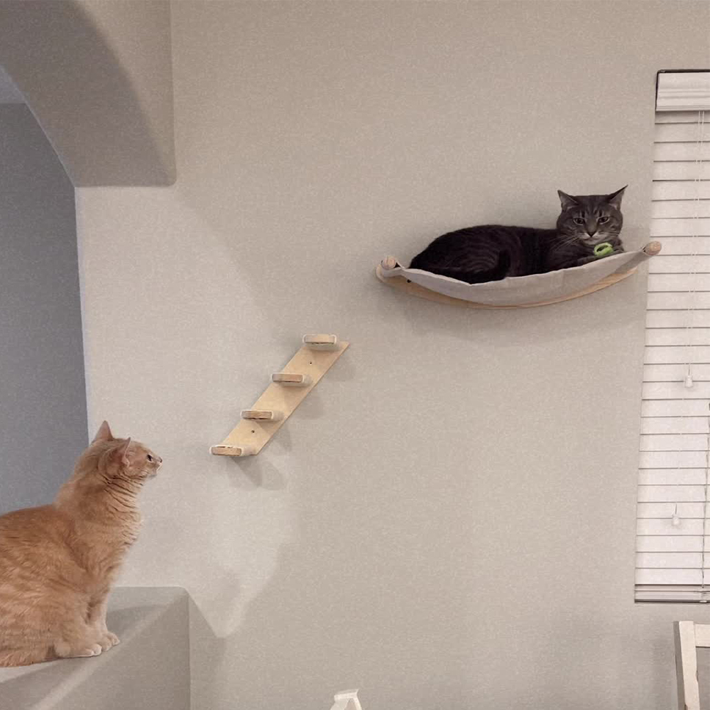 Wall-Mounted Cat Wall Climbing Shelves Set Wooden Cat Trees Tower Scratcher Jumping Platform Indoor Cats Gym Accessories Toy