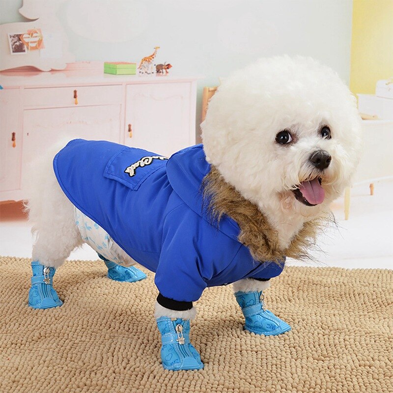 Winter Hond Puppy Jasje Verdikking Warm Puppy Hond Kleding Hoodie Kostuum Kleine Honden Uitloper , a02