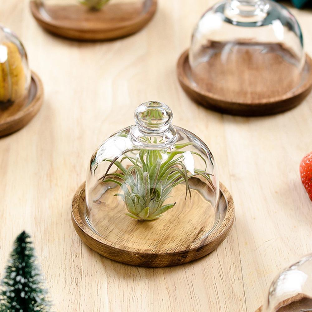 mini dessert fett kaketallerken servise tallerken matte beholder dessert vise brett kake hotell heltre brett med glass deksel