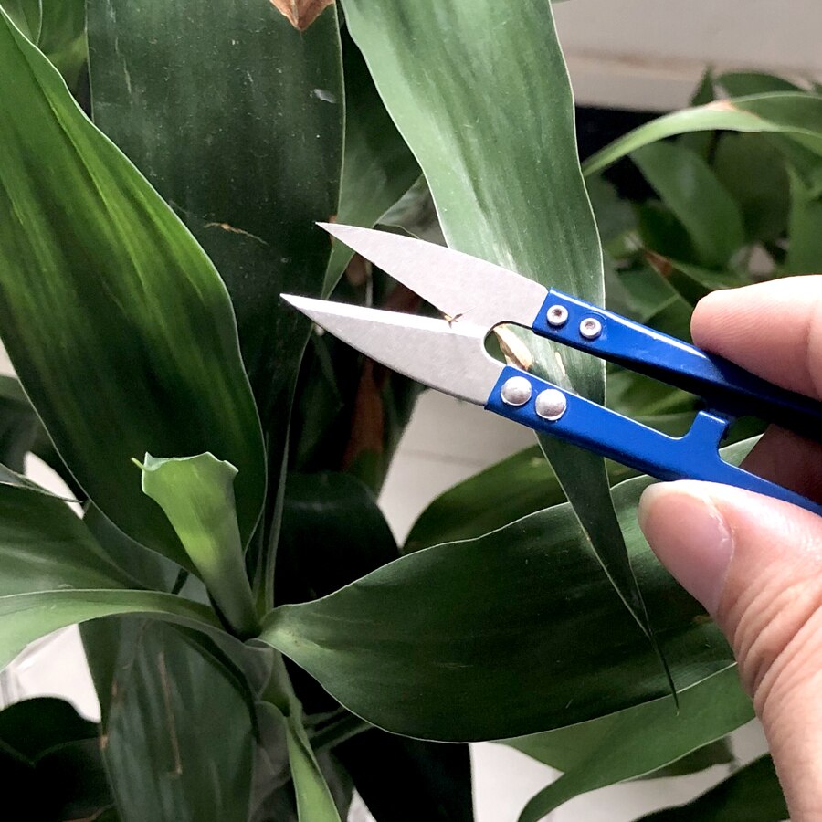 3Pcs Snoeischaar Mini Scherpe Schaar Tuinieren Plant Schaar Tak Snoeischaar Trimmer Tool Naaien Kleren Draad Snijden Cutters