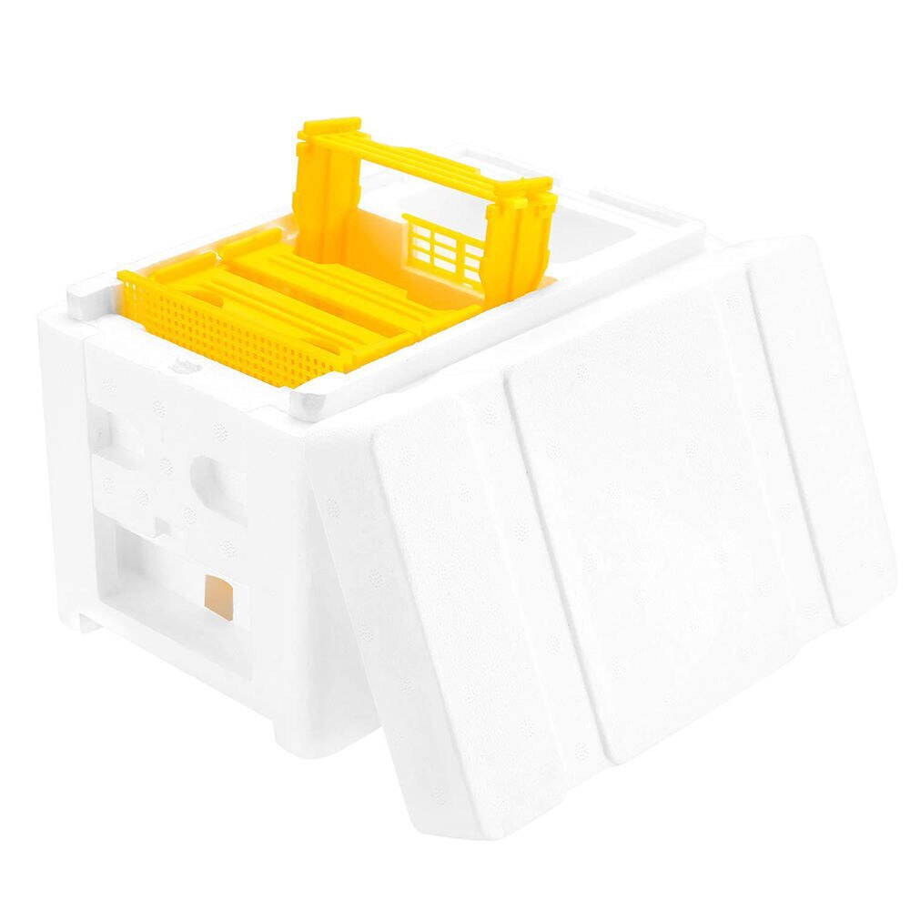 1pcs Honey Beehive Bee Hive Box Case Beekeeping Equipment Raw Harvest Bees Frame