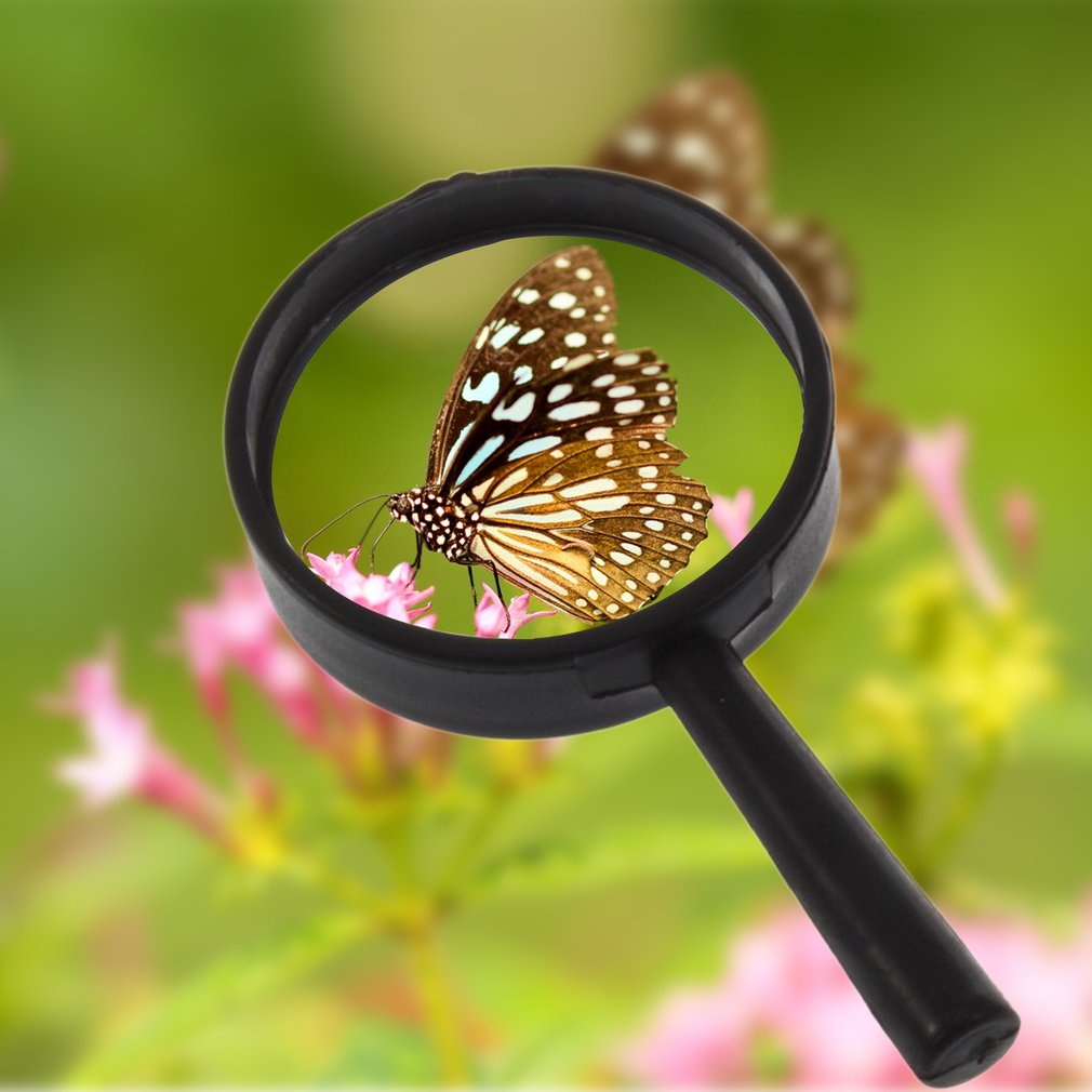 Reading 5X Magnifier Hand Held Magnifying Acrylic 25mm Mini Pocket Magnifying Glass Lens Reading Microscope