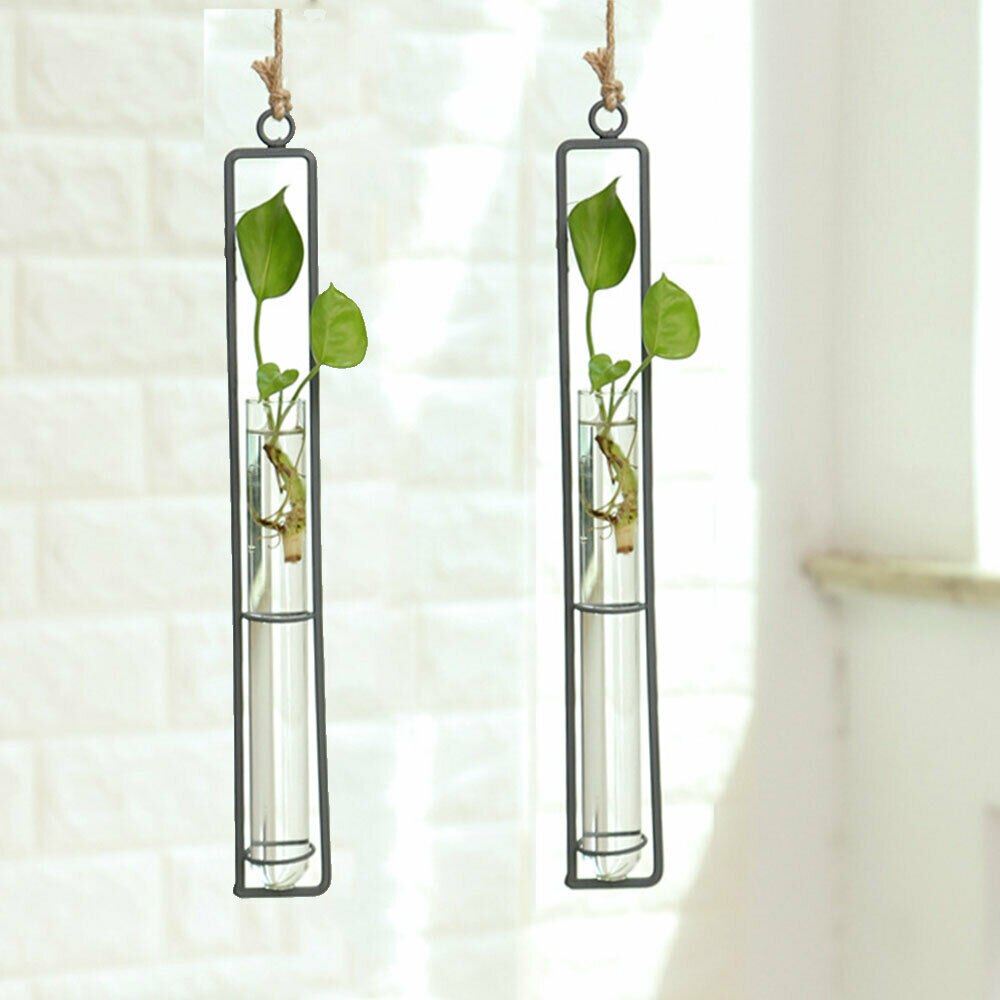 Wanddecoratie voor bloemenvaas van ijzer, transparant glas, voor hydrocultuur, diy plantenbak, hangende decoratie