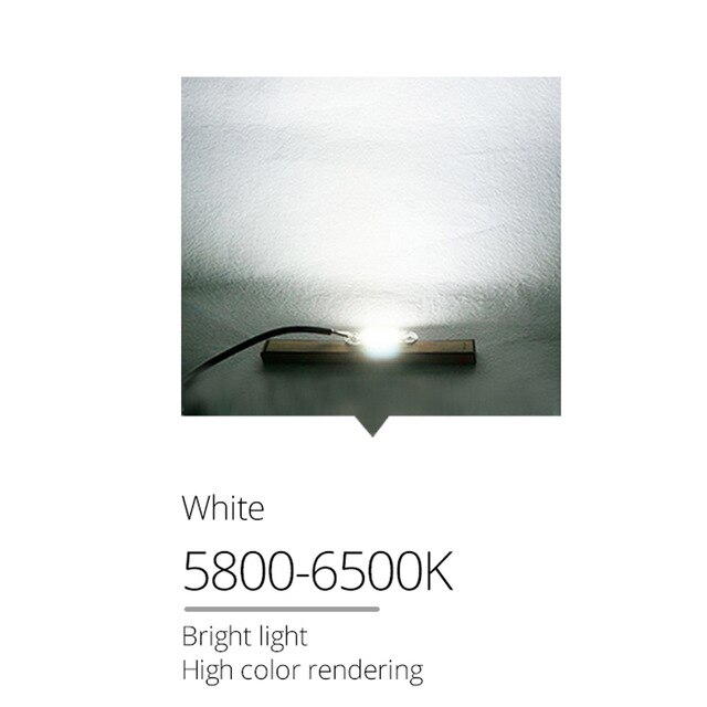 220v 20w 30w 50w cob led chip diode matrix led lampe ingen flikkering ingen behov driver smart ic diy spotlight schijnwerper: 220v / Kald hvit / 20w