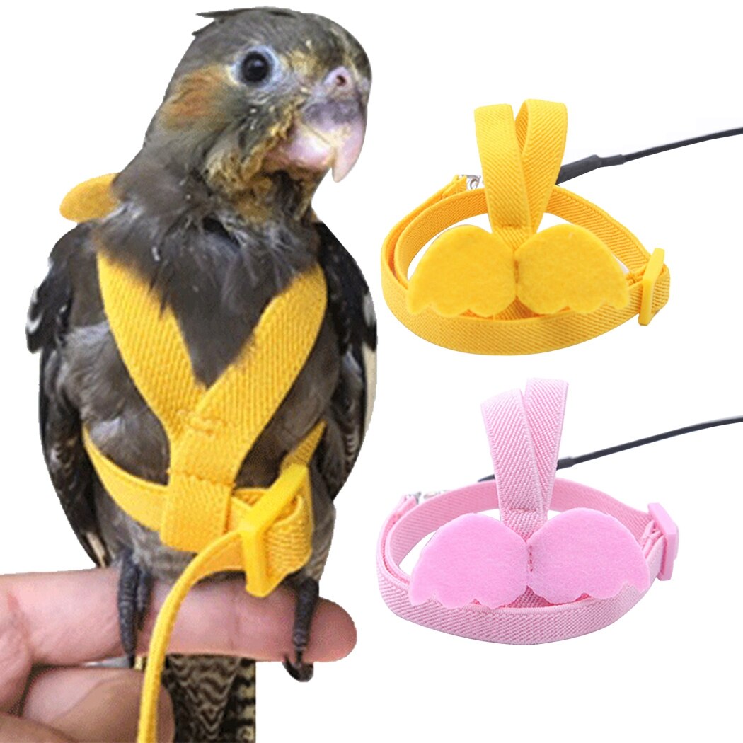 Ensemble de harnais et laisse pour perroquet, corde d'entraînement en vol en plein air réglable avec aile pour petits et moyens oiseaux, perruche de calopsitte