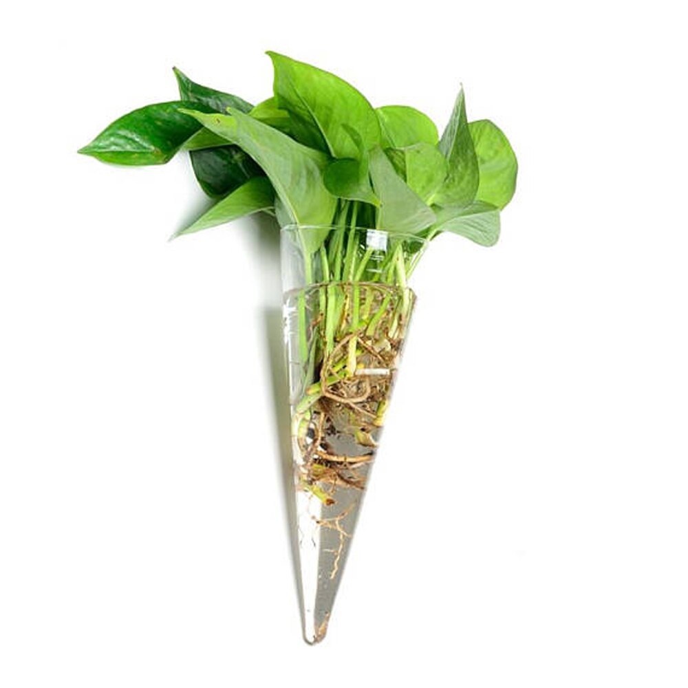 Neue Transparente Glas Wand Vase Wand Hängen Pflanzen Terrarium Glas Pflanzer Blume Halter Vase Kreative Garten Hof Wohnkultur