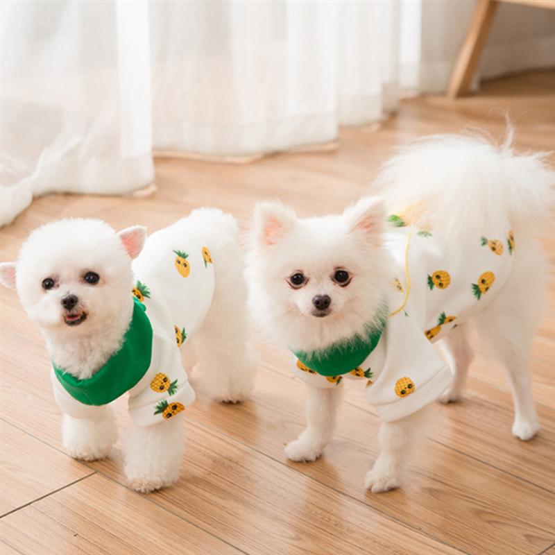 1Pc Pet Dog Herfst Winter Hoodie Gedrukt Met Drie-Dimensionale Ananas