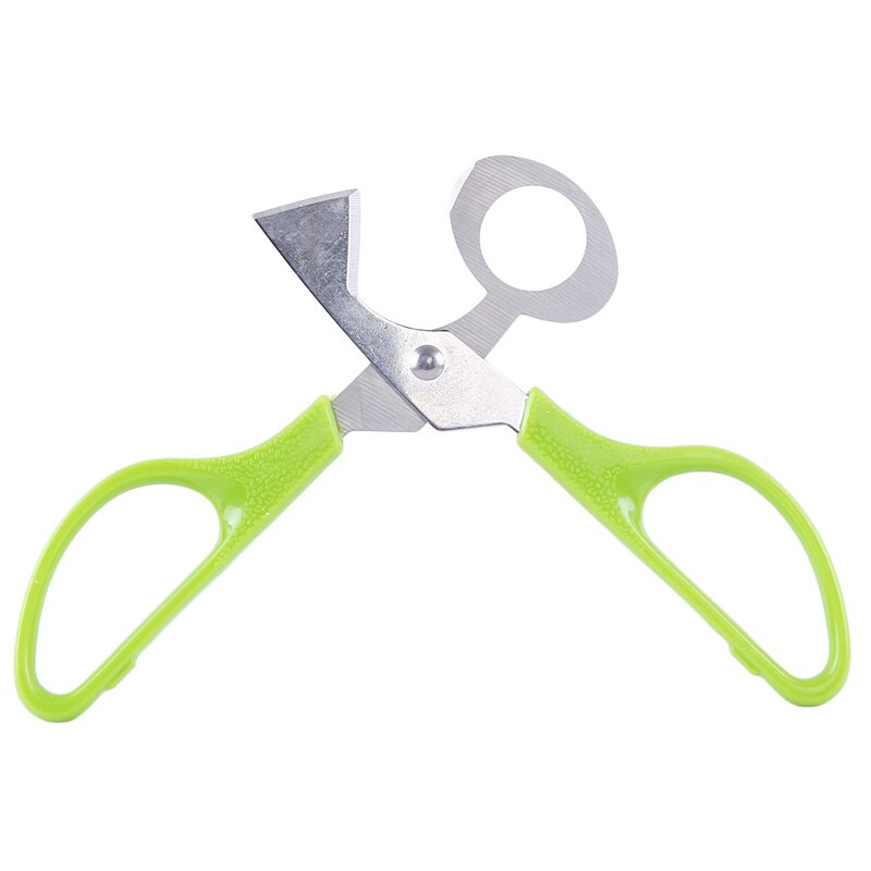 Green Stainless Steel Bird Egg Scissors Kitchen Knife Cooking Egg Accessories