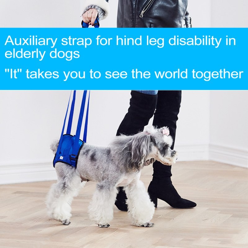 Réglable chien soutien fronde aide jambes faibles debout chien ascenseur harnais pour les jambes arrière chiens de compagnie laisse aide outil d'aide