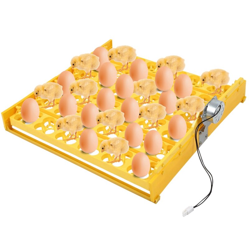 36 Eggs Automatic Incubator Egg Tray Egg Incubator 220V Motors Home Mini Incubation Equipment Chicken Farm Poultry Hatching Devi