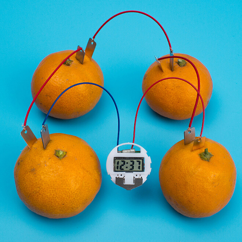 1 Juego de Kit de bioenergía para niños, suministro de frutas, electricidad, experimentos para niños, estudiante aprendiendo Ciencia, juguete educativo