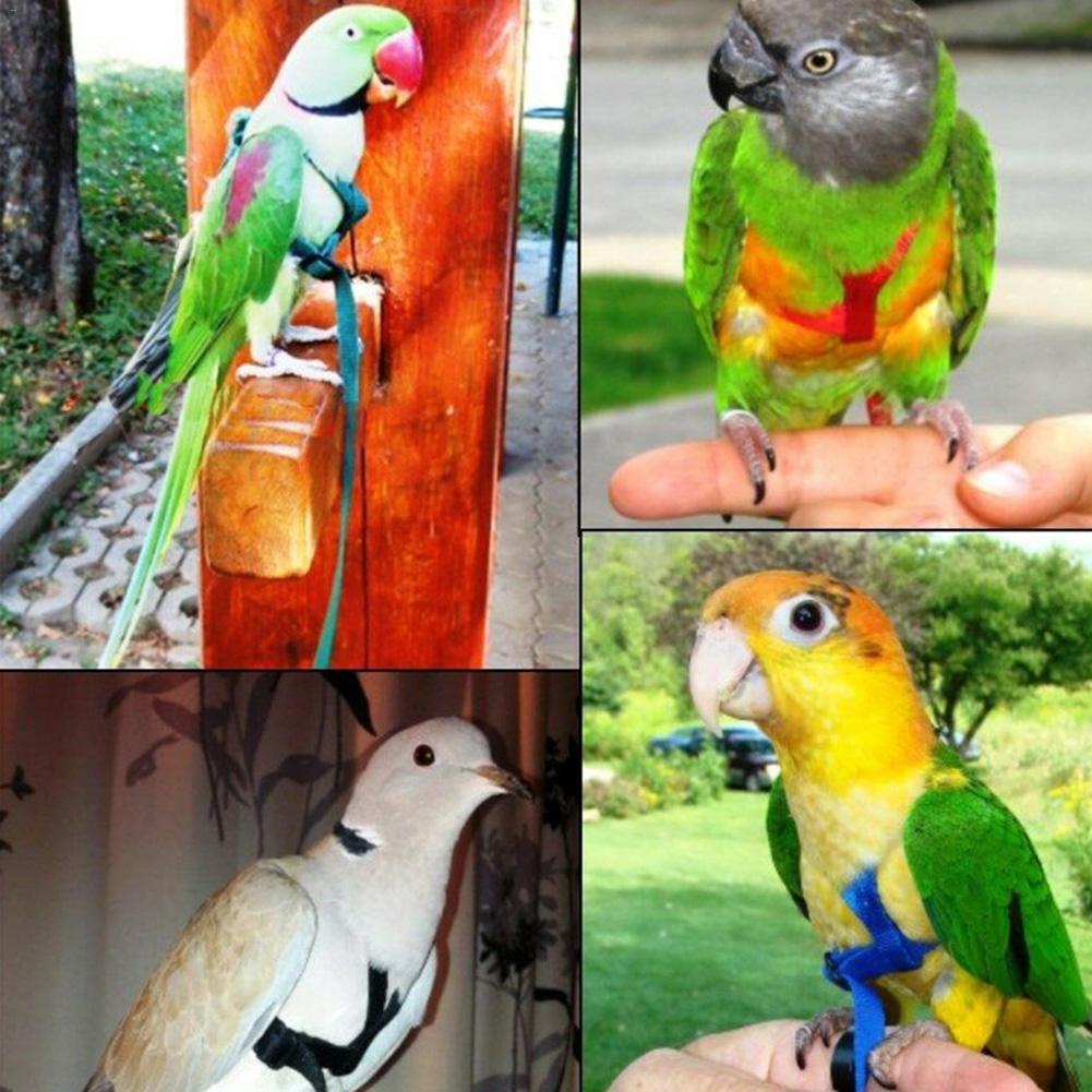 Tren de aves para mascotas, Correa colorida para loros y pájaros, arnés ajustable para exteriores, cuerda de entrenamiento, banda cruzada voladora, productos para mascotas, suministros para aves