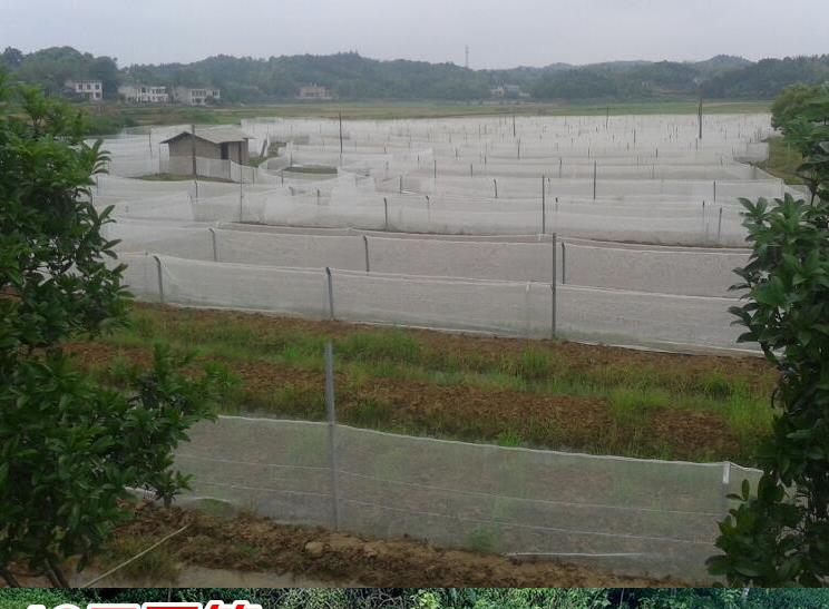 Aquaculture Cage Hatched fry Raising fish and shrimp Fishing net breeding network Aquatic reproduction