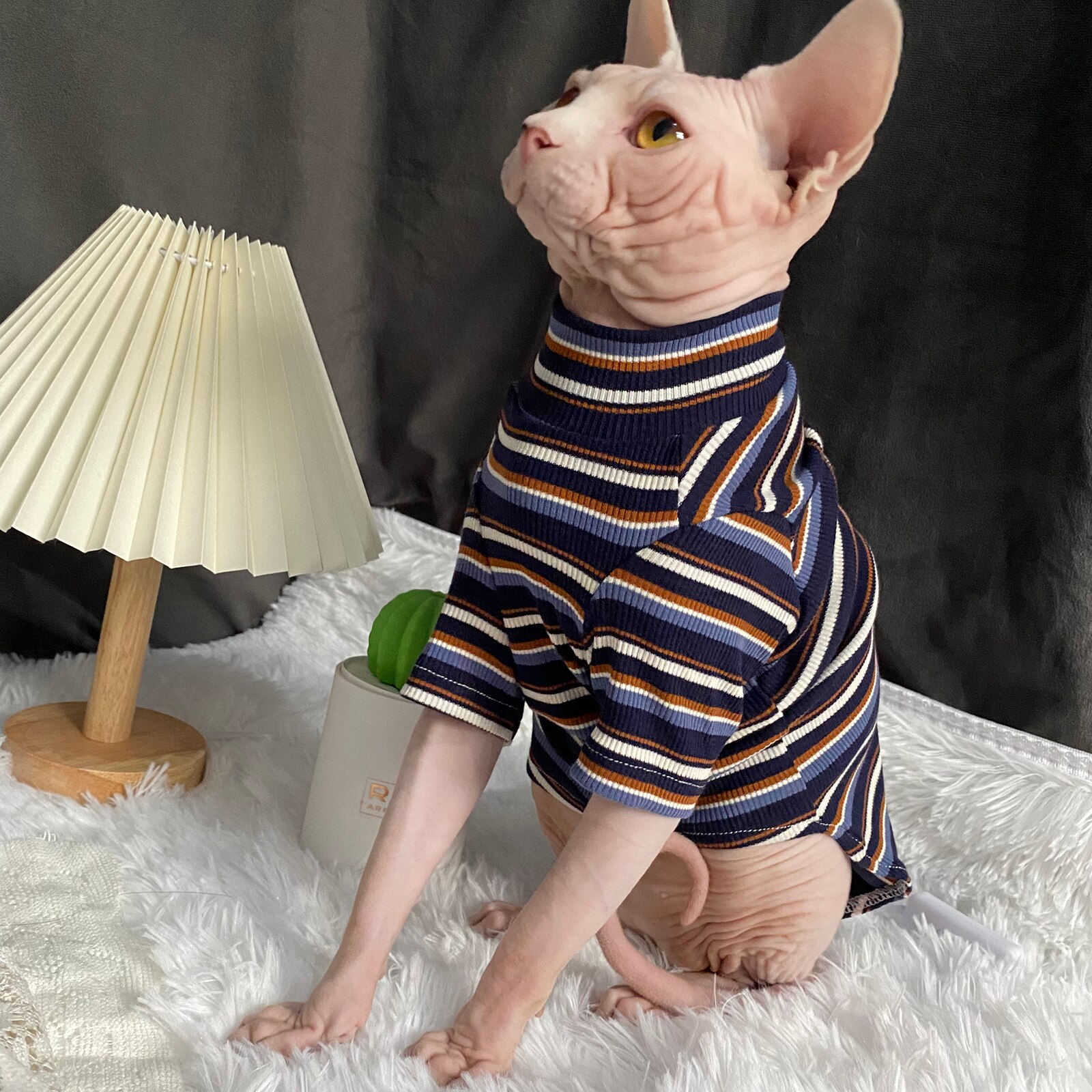 C &amp; C Strips Lente Zomer Sphinx Kleding Huisdier Kleding Katoen Beerus Devin Rex Kostuum Sphynx Shirt Haarloze Kat Kleding outfit