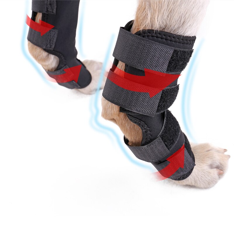 Sangles pour les jambes de chien | Taille 4, pour le genou, Protection articulée, Protection des articulations, blessures chirurgicales pour chiens fixes 2 pièces/lot