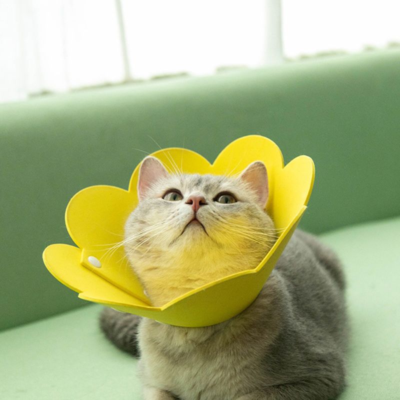 Flower Shaped Cat Recovery Collar Elizabethan Collar Wound Healing Protective Cone for Kitten Puppy