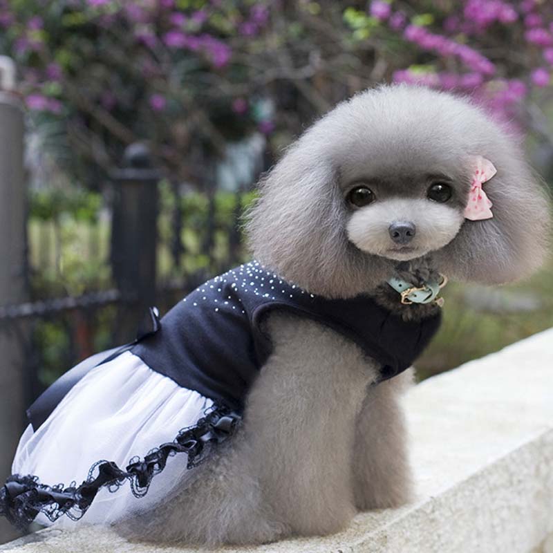 Sommer dimond blondekjole for hundeklær , søte kjæledyr hunde krystall ball kjole, roupa pra cachorro