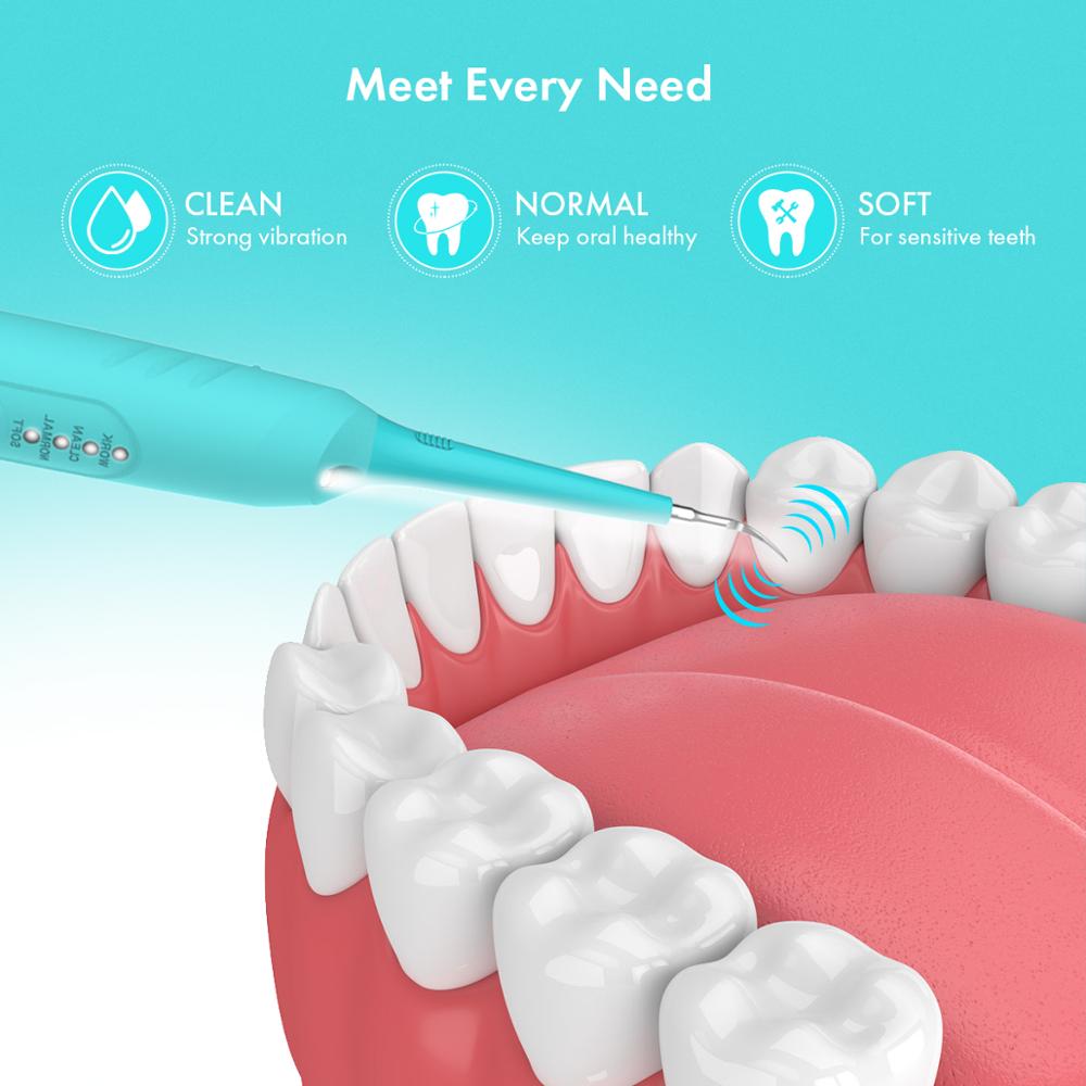 Kit removedor de cálculo Dental, iFanze raspador de sarro eléctrico-el mejor Kit de higiene Dental que incluye un removedor de placa Dental, una Denta