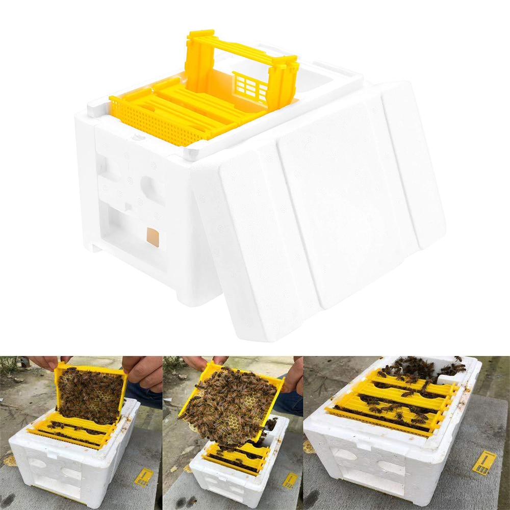 Harvest Bee Hive Box Beekeeping King Pollination Box Beekeeping Tool For Garden Pollination Box King Reserve Beekeeping Tool