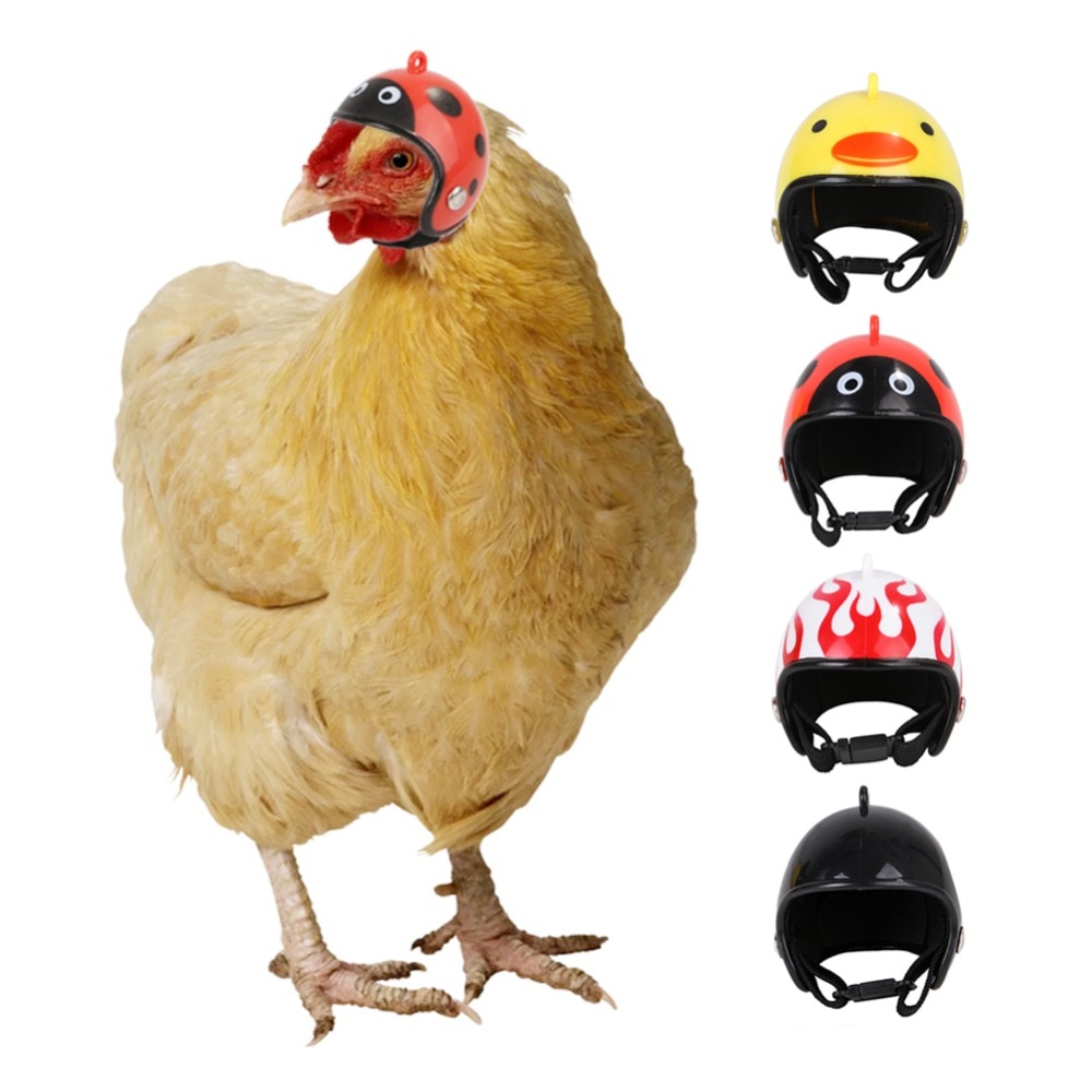 Huhn Helme Nette Kleine Pet Papagei Helme Vögel Ente Wachtel Hut Headwear Kopfbedeckungen für Küken Liefert Lovebirds Ducks 1Pc