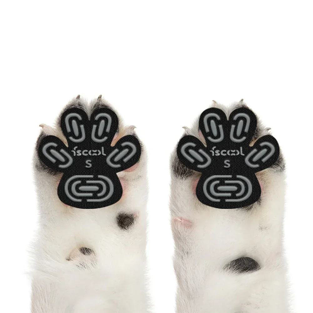 Almohadillas para dedos de los pies de perro, protectores de patas que proporcionan tracción del pie para perros mayores en suelos deslizantes, Ideal para protección de pavimiento en , 4 Uds.