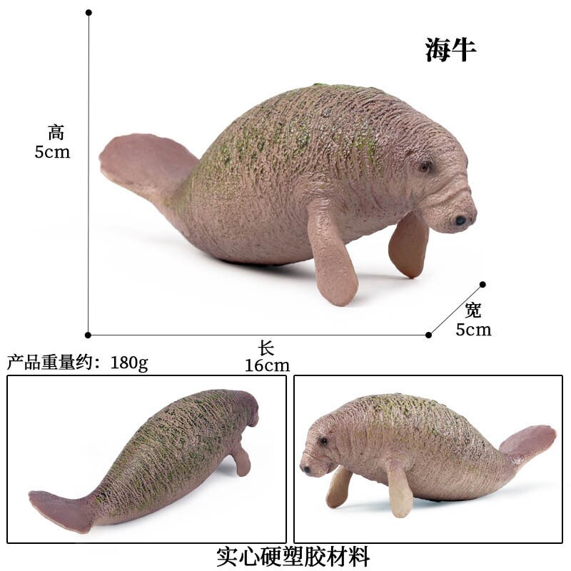 Simulatie Oceaan Dier Seal Zeeleeuw Walrus Model Action Figure Beeldjes Collectie Cognitie Educatief Childrens Toys: Sea cow