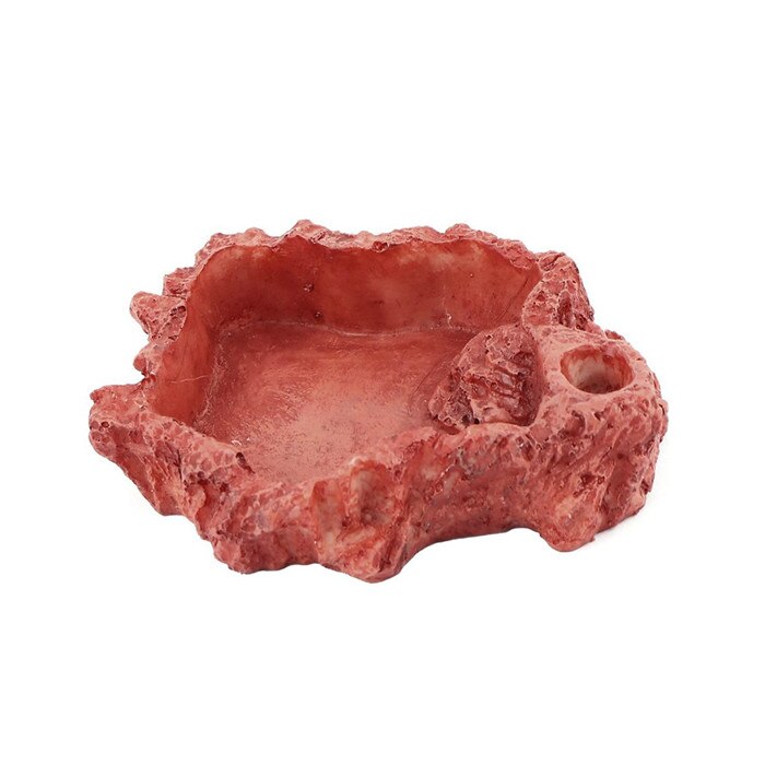 Saim Turtle Feeding Plate Reptile Feeding Bowl Crawler Pet Feeding Round Bowl Feeder Dish for Turtle Tortoise Clamping Pet Feed: 2 reptile feeding