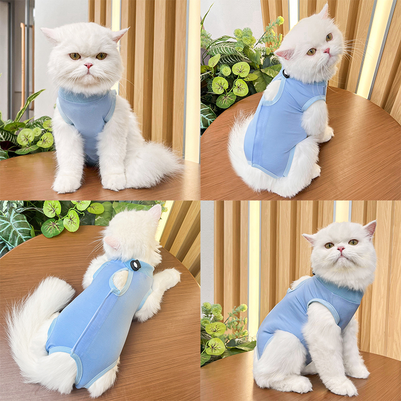 Gatos cirurgia recuperação terno para pequeno médio cão gato colete camisa para animais de estimação pijama macio após cirurgia usar roupas de recuperação anti lambendo