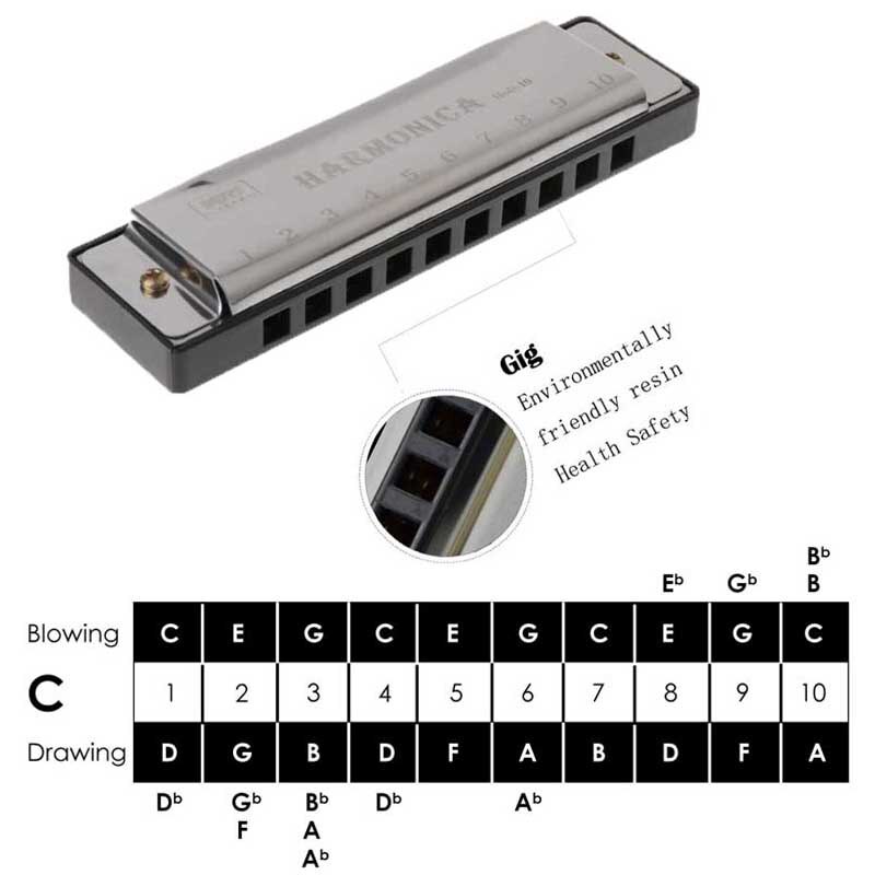 Harmonica Professionele Harmonica Standaard Diatonische 10 Gaten Sleutel Van C Blues Harmonica Muziekinstrument Diatonische Harp Met Case