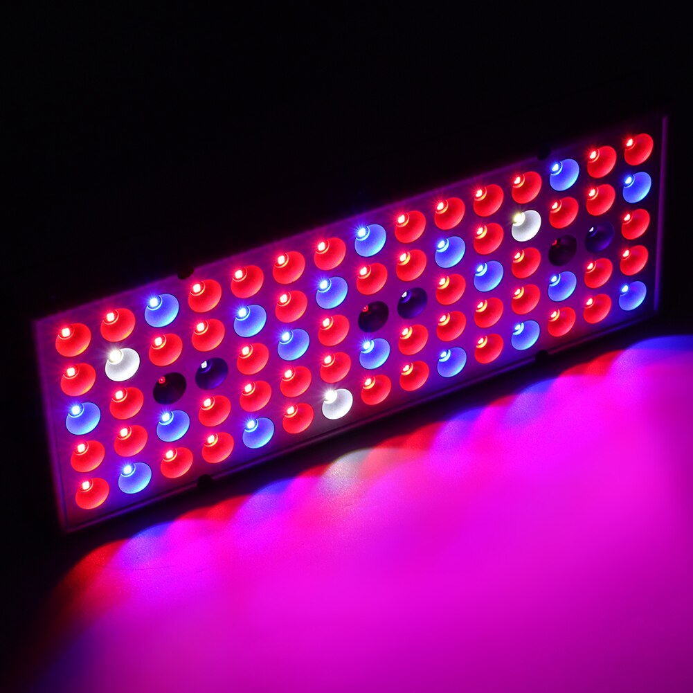 Lampe horticole à spectre complet pour culture de plantes en serre, 85/265V