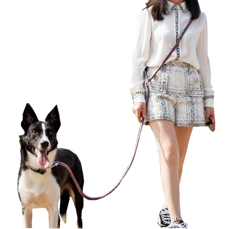 Correa reflectante ajustable para perro, correas de manos libres para caminar, a prueba de explosiones, suministros para mascotas