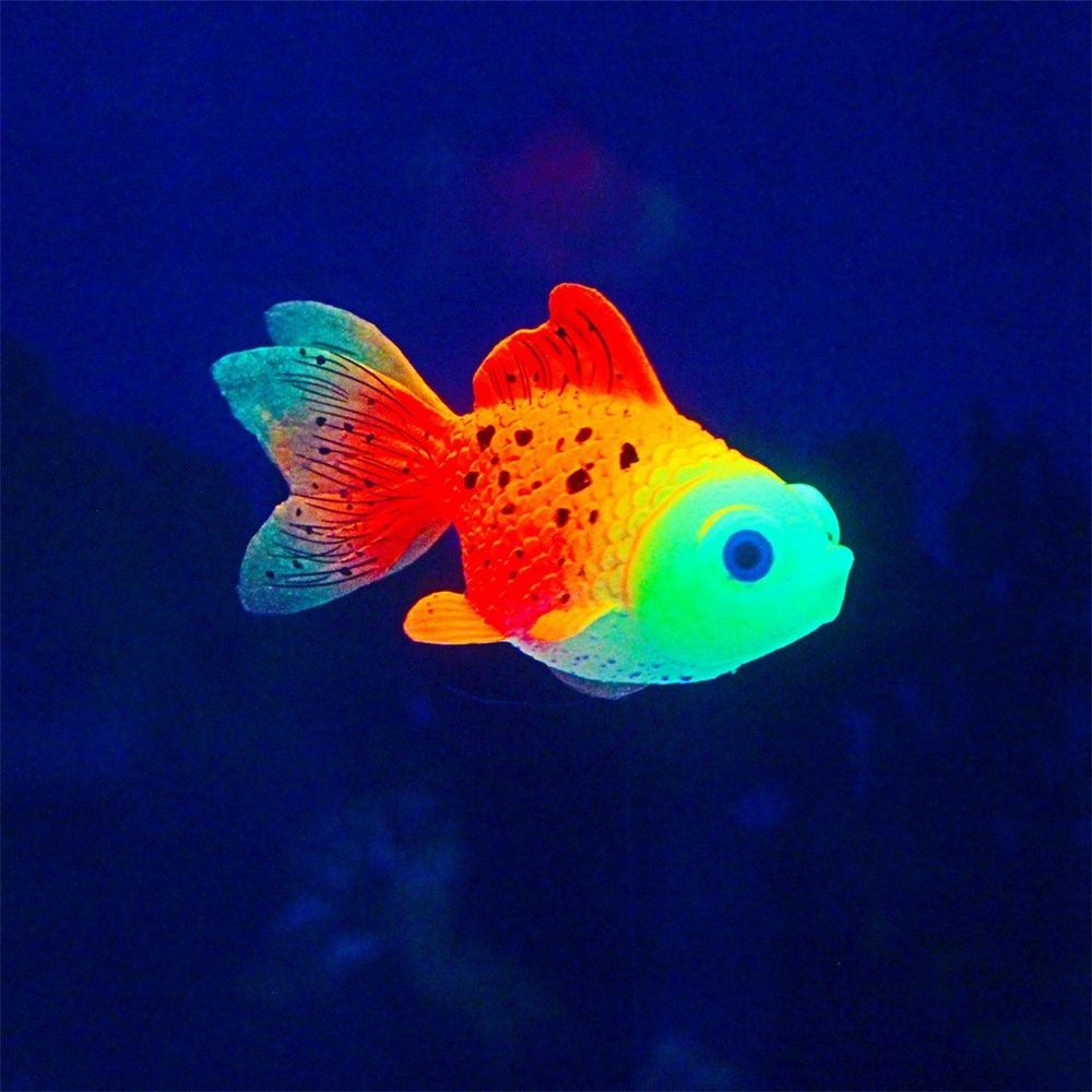 Siliconen Oceaan Lichtgevende Goudvis Aquarium Nachtlampje Simulatie Vis Onderwater Ornamenten Aquarium Landschap Kunstmatige Vis: Black