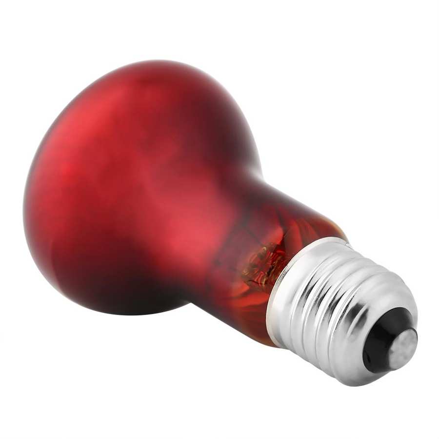 Bombilla de calefacción terrestre para reptiles, calefacción por calor, infrarrojo UVA, calefacción de reptiles, cordero, anfibio, pájaro, lagartos, tortugas