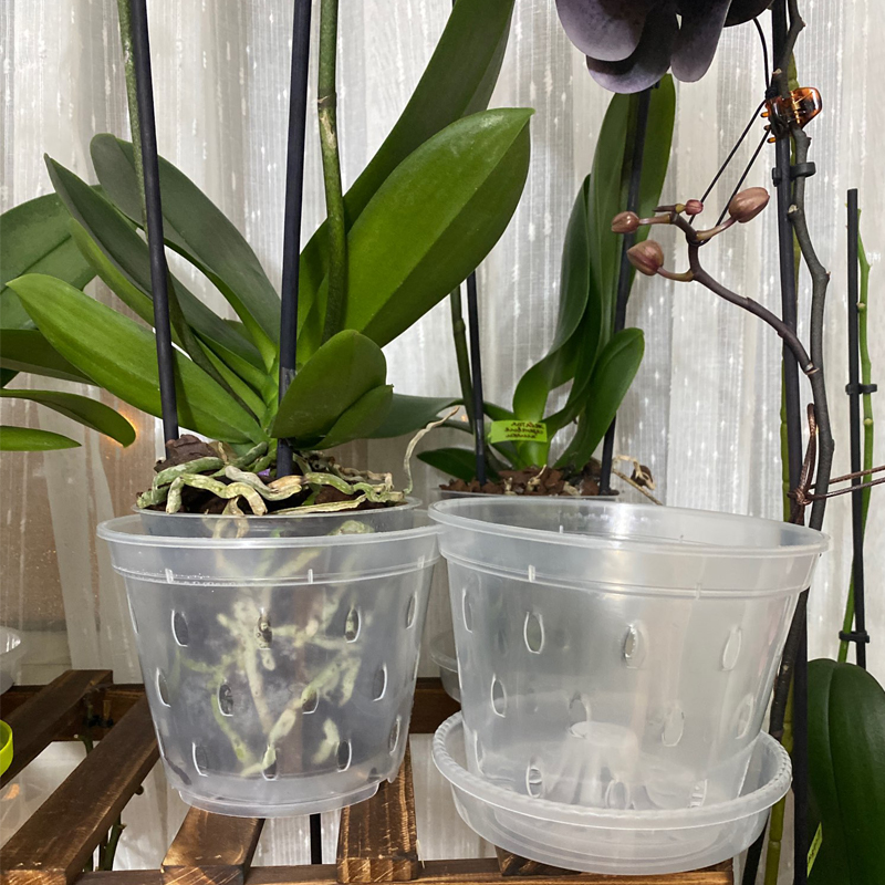 Maceta transparente para orquídeas, macetas de plástico para Control de raíces con agujeros, contenedor transpirable para crecimiento de plantas, suministros de jardín, 5 uds.