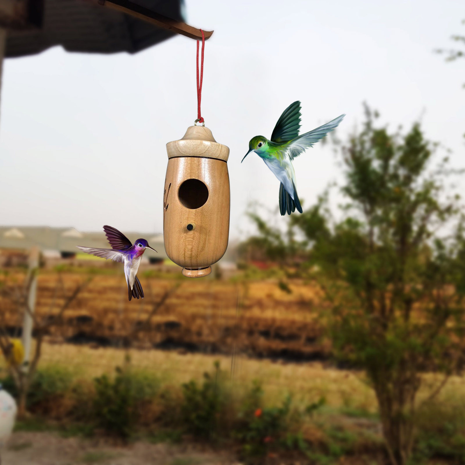 Hummingbird House Wooden Hummingbird House for Outside Hanging Hummingbird Swing Hummingbird Nest