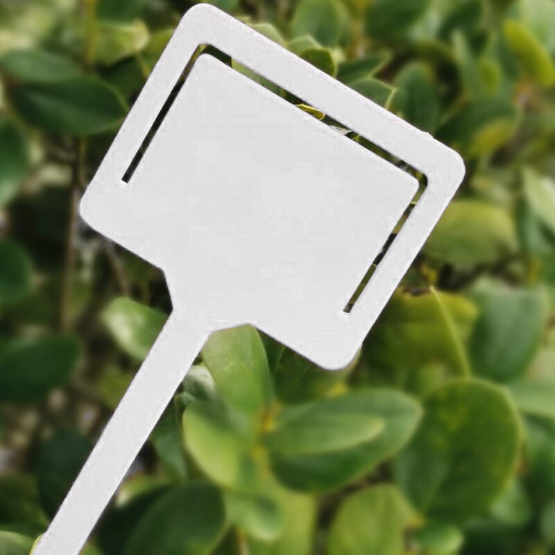 3 Pcs/set Gardening Label Card Gardening Supplies ... – Grandado