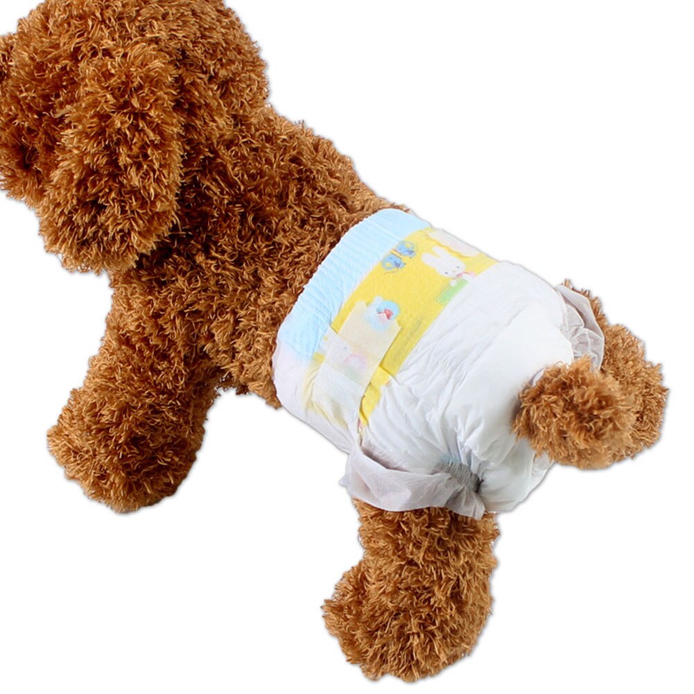 Pañales desechables para perros de compañía, protección Ultra, productos para mascotas al mejor precio, 10 Uds.
